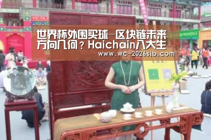 世界杯外围买球-区块链未来方向几何?Haichain八大生态独领风骚(图4) 2026世界杯