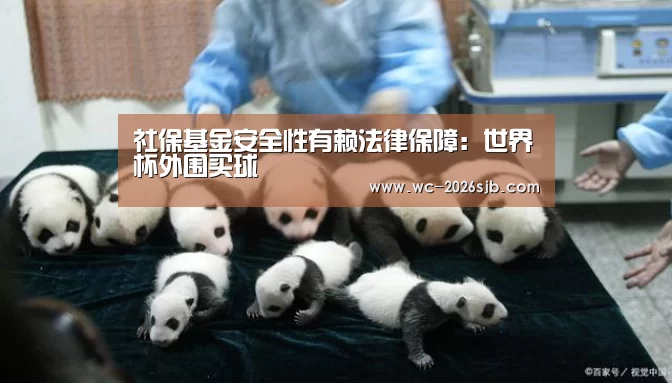 社保基金安全性有赖法律保障:世界杯外围买球(图2) 世界杯投注