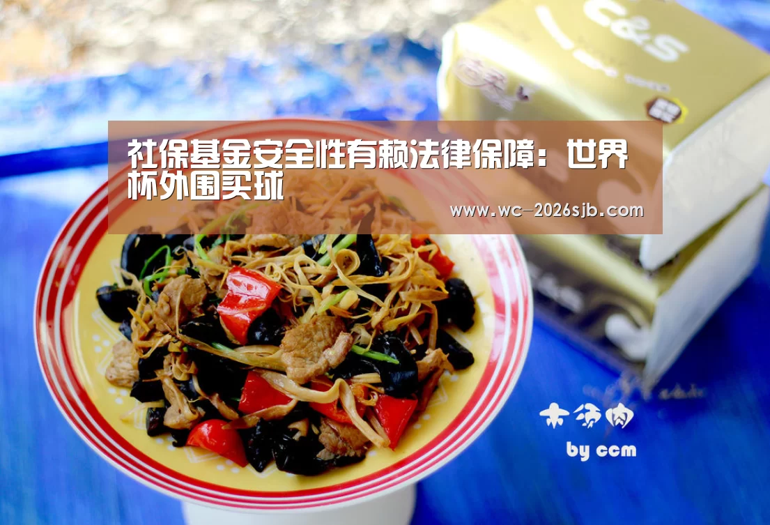 社保基金安全性有赖法律保障:世界杯外围买球(图1) 2026世界杯
