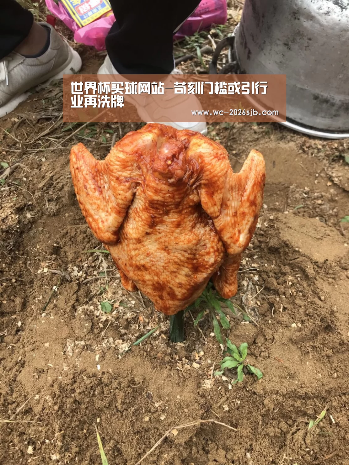 世界杯买球网站