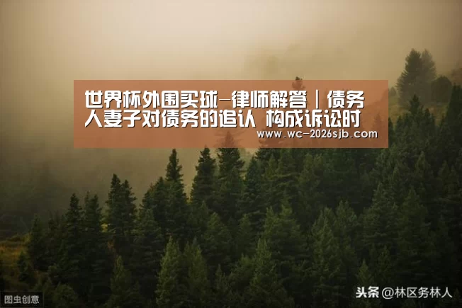 世界杯外围买球-律师解答|债务人妻子对债务的追认 构成诉讼时效中断吗?(图2) 世界杯投注