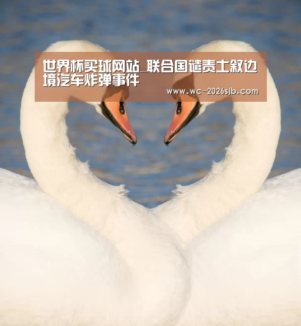 世界杯外围买球