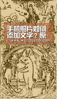 手机照片如何添加文字?原来方法这么简朴 花1分钟手把手教_世界杯投注(图3) 世界杯买球网站