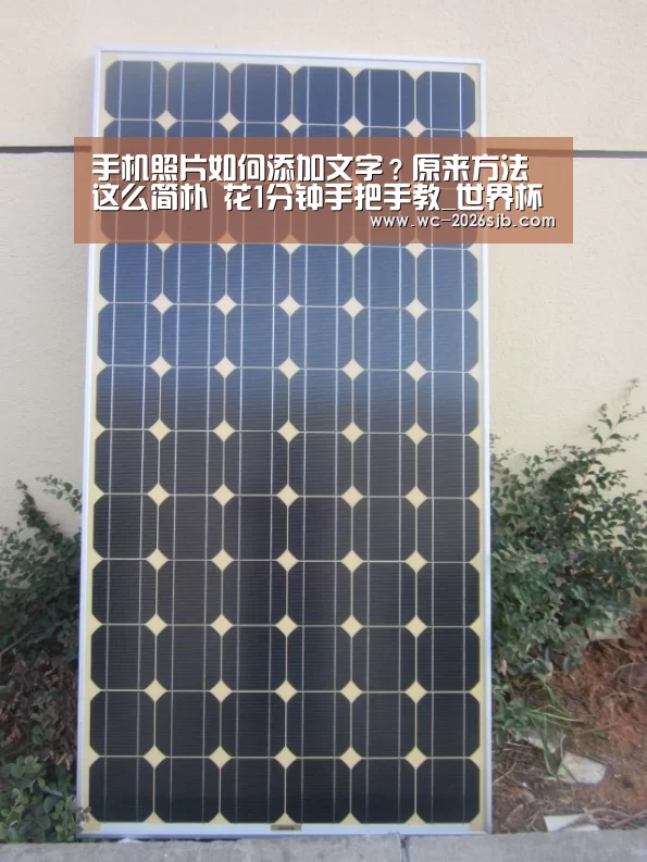 手机照片如何添加文字?原来方法这么简朴 花1分钟手把手教_世界杯投注(图4) 2026世界杯