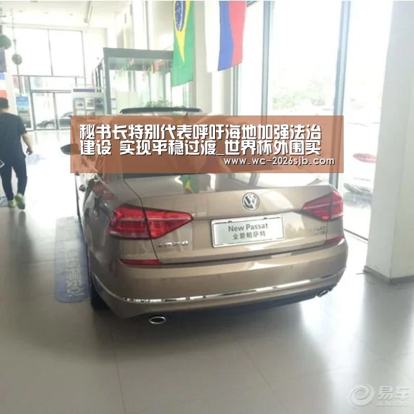 秘书长特别代表呼吁海地加强法治建设 实现平稳过渡_世界杯外围买球(图3) 2026世界杯