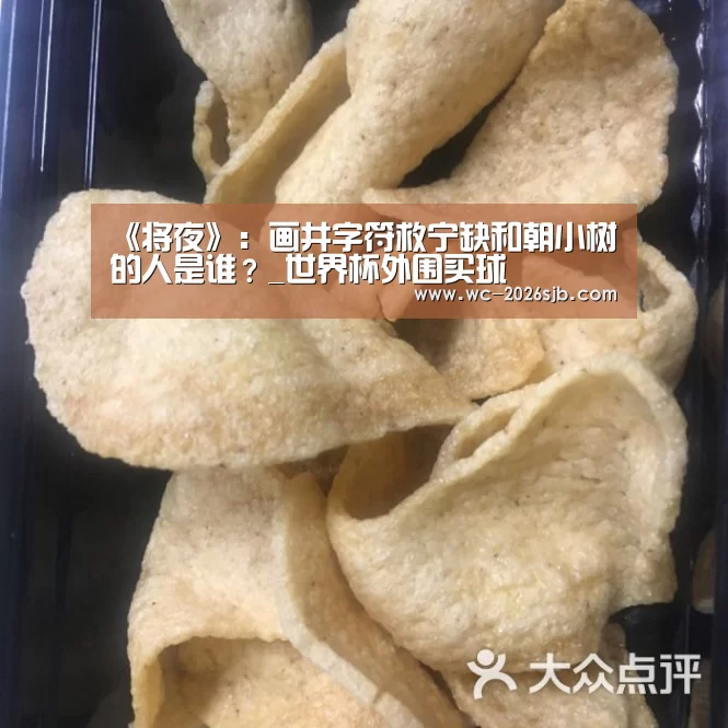 《将夜》:画井字符救宁缺和朝小树的人是谁?_世界杯外围买球(图1) 世界杯外围买球