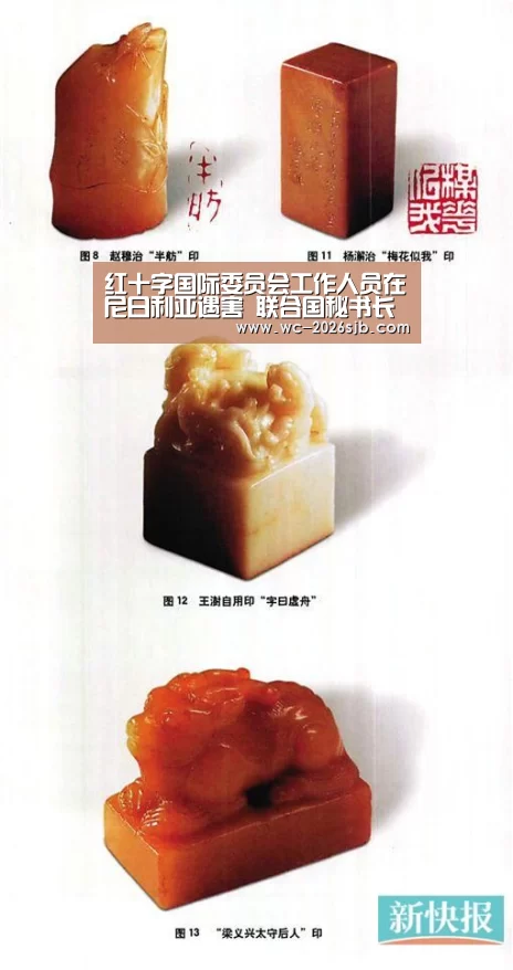 红十字国际委员会工作人员在尼日利亚遇害 联合国秘书长予以强烈谴责:世界杯投注(图3) 世界杯投注