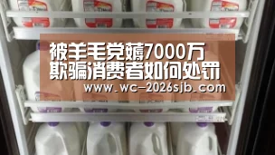 被羊毛党薅7000万 欺骗消费者如何处罚?:世界杯买球网站(图1) 2026世界杯